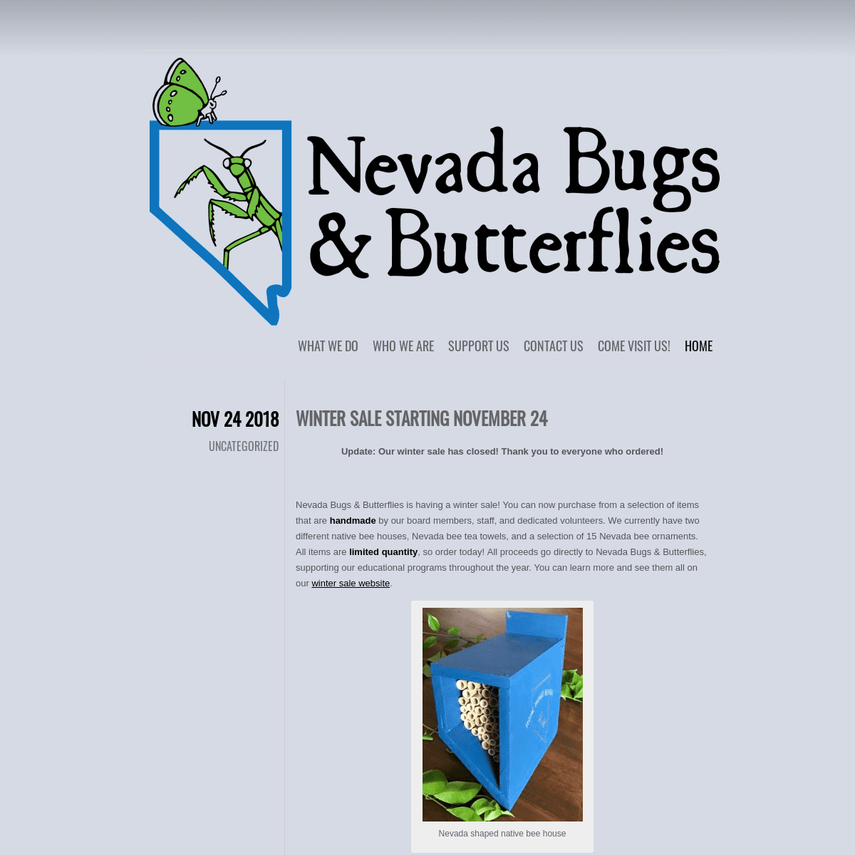 Nevada Bugs and Butterflies - Bugs, butterflies, and love of the natural world..
