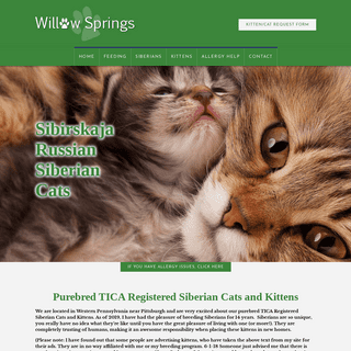 Willow Springs: Hypo Allergenic Siberian Cats and Siberian Kittens
