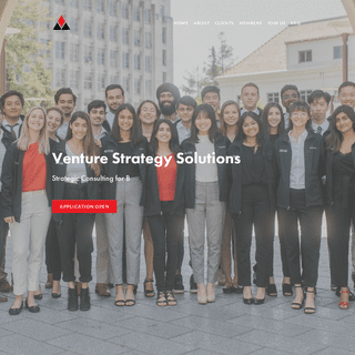 Venture Strategy Solutions Consulting