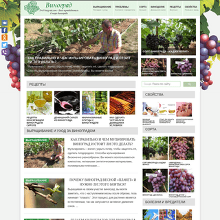 Виноград - выращивание и уход, защита от болезней и вредителей, описание сортов и рецепты виноделия