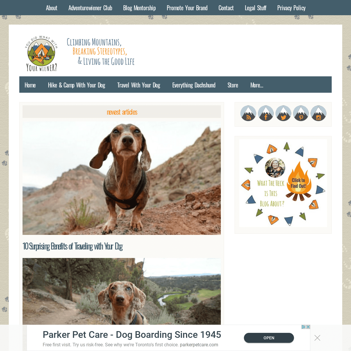 Hiking and Adventures With Two Small (Wiener) Dogs | YouDidWhatWithYourWiener.com