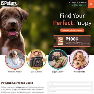 Buy Puppies, Pet Supplies & Dog Food - Petland Las Vegas Pet Store