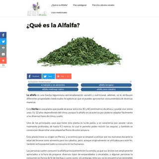 ▷ ¿Qué es la Alfalfa? » Enciclopedia Online de la Alfalfa 