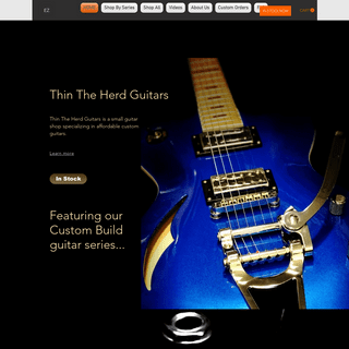 Affordable Custom Guitars By Thin The Herd Guitars