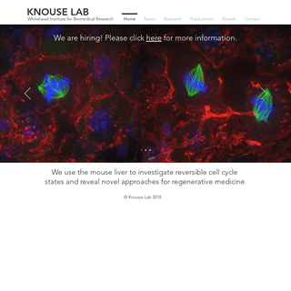 Knouse Lab | Whitehead Institute for Biomedical Research 