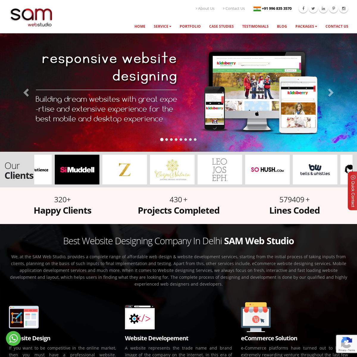 Website Designing Company in Delhi, Web Development Company India