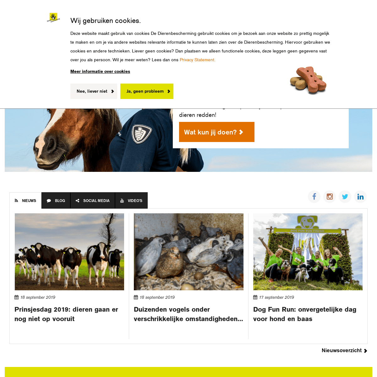 De Dierenbescherming beschermt dieren - Dierenbescherming.nl