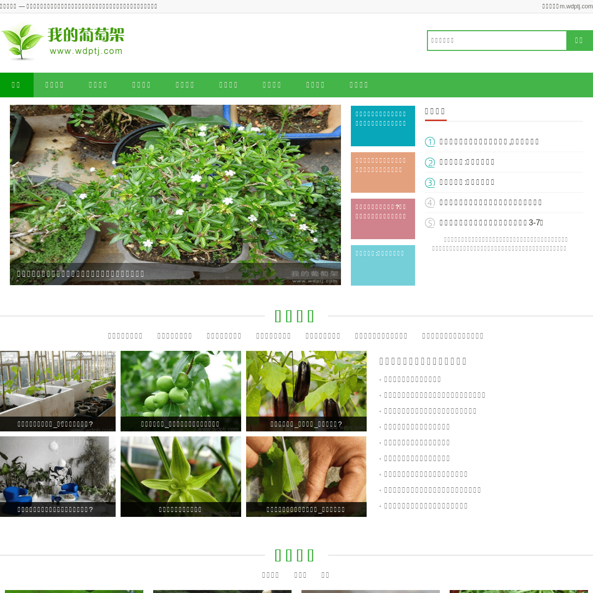 植物分类_多肉植物怎么养_盆栽植物图片及名称_养花技巧_养花网站-【我的葡萄架】