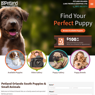 Petland Orlando South, Florida - Premium Pets, Puppies & Supplies