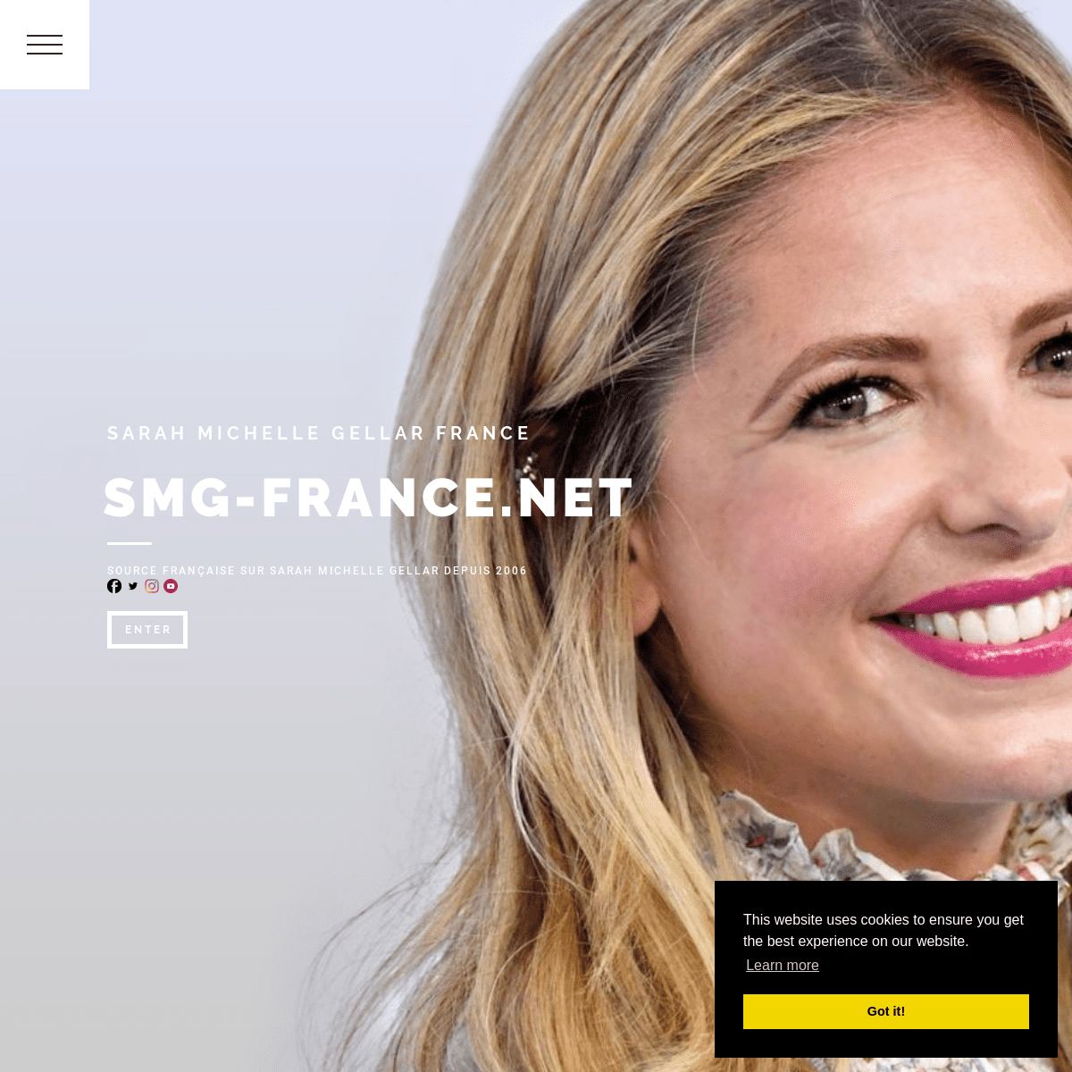 smg-france.net 