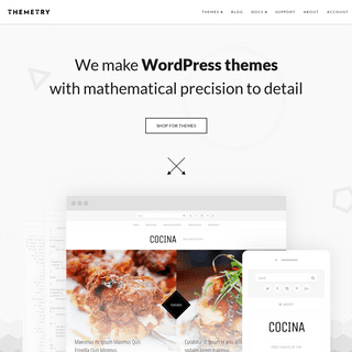Themetry: WordPress Themes with Mathematical Precision to Detail