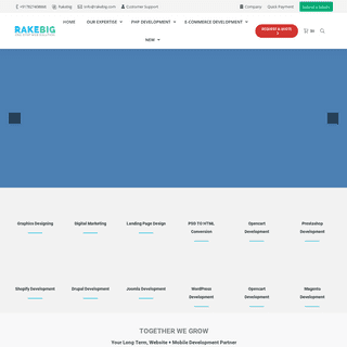 Website Design and Development Company In Rajouri Garden - RakeBig