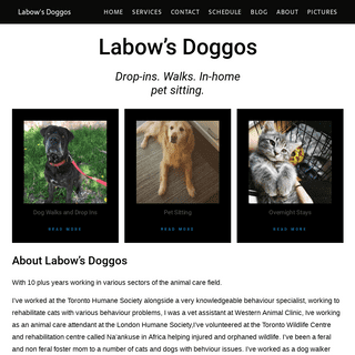 Home | Labow's Doggos | London Ontario Dog Walking