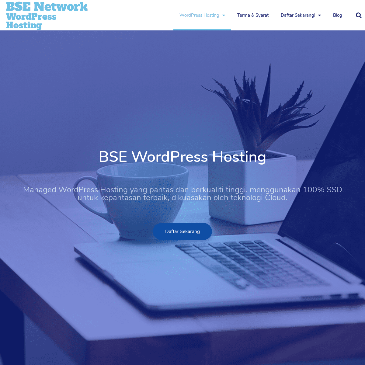 Wordpress Hosting BSE Network - BSE Network