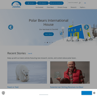 Polar Bear Facts & Conservation - Polar Bears International
