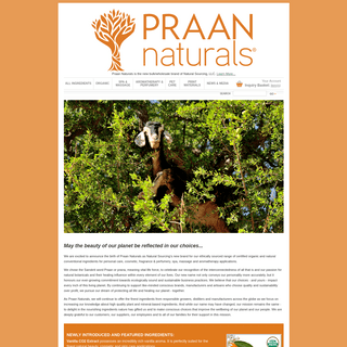 Cosmetic and Personal Care Ingredient Specialists | Praan Naturals Wholesale & Bulk Ingredients
