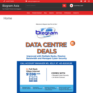 Bizgram Asia | Your Trusted IT Partner from Singapore