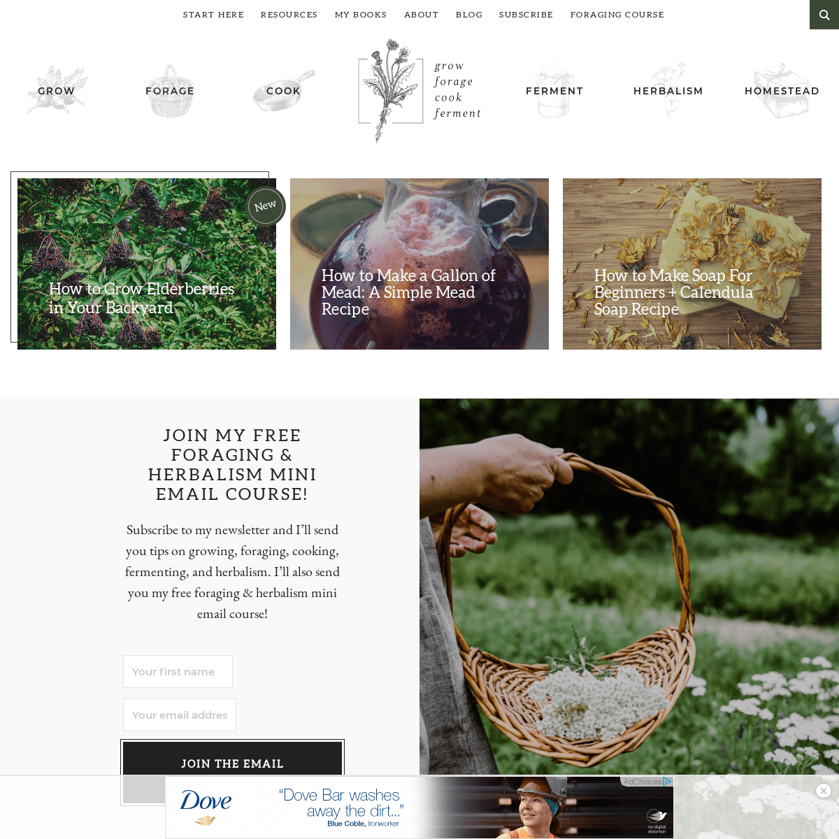 Grow Forage Cook Ferment - Seasonal Recipes, Wildcrafting Guides, Herbal Remedies & More