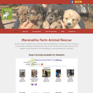 Maranatha Farm Animal Rescue