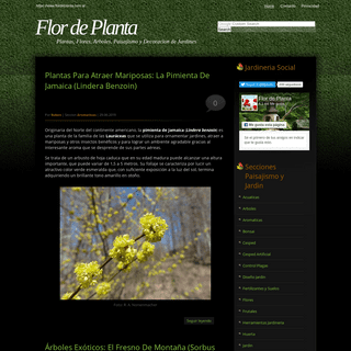 Flor de Planta - Plantas, Flores, Arboles, Paisajismo y Decoracion de Jardines | Flor de Planta