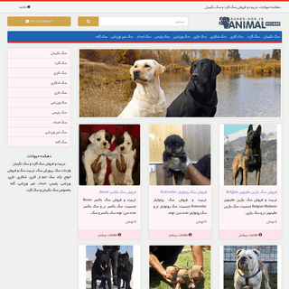 دهکده حیوانات | تربیت و فروش سگ گارد و سگ نگهبان