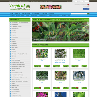 Tropical Britain - Hardy Exotic Plants, Palms, Rare Plants