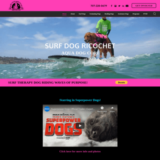 A complete backup of surfdogricochet.com