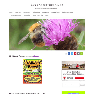 A complete backup of buzzaboutbees.net