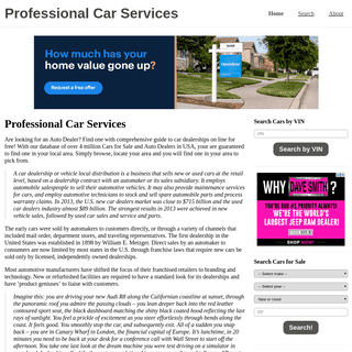 Professional Car Services