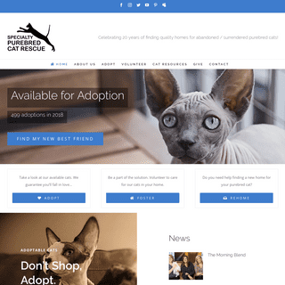 Specialty Purebred Cat Rescue – Rescue dedicated to finding homes for purebred cats.
