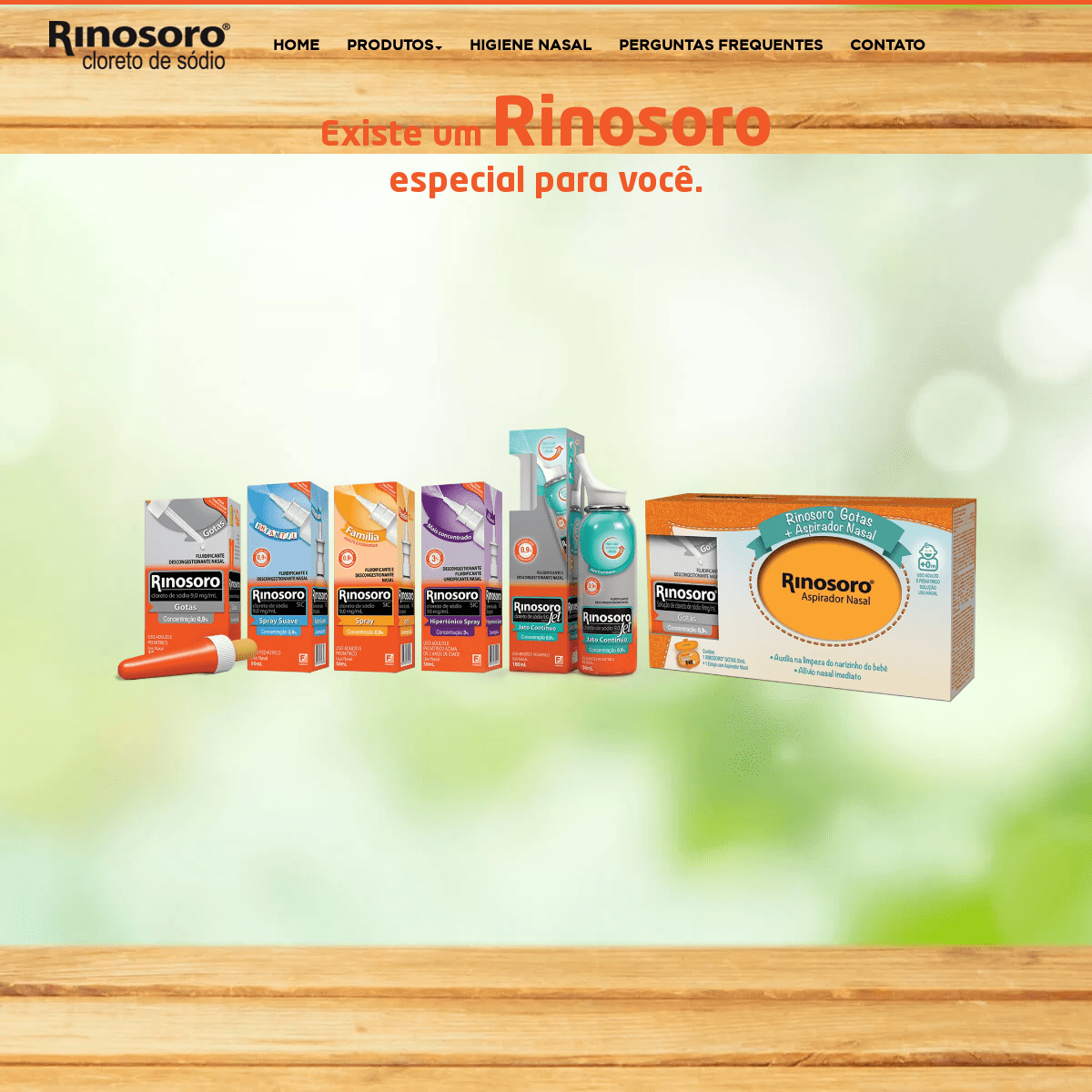 A complete backup of rinosoro.com.br