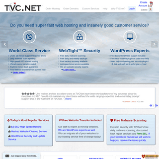 Website Hosting and Website Security Services with TVCNet