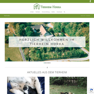 Startseite - Tierheim Horka