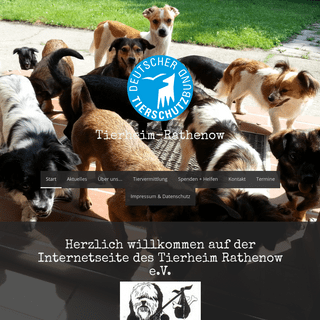 Herzlich willkommen auf der Internetseite des Tierheim Rathenow e.V. - tierheim-rathenows Webseite!