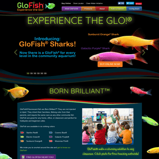 GloFishÂ® - Experience the Glo!Â®