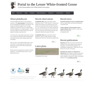 Portal to the Lesser White-fronted Goose Anser erythropus