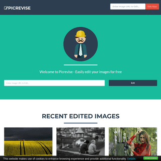 Picrevise - Image Editor on Cloud