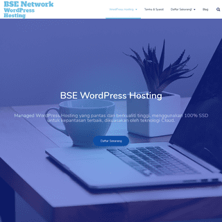 Wordpress Hosting BSE Network - BSE Network
