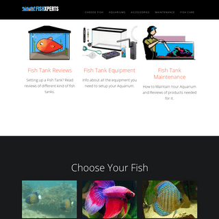 Fish Care – A Complete Guide - Fishxperts