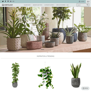 Hortology.co.uk - Houseplants, Indoor Plants & Pots Delivered Direct