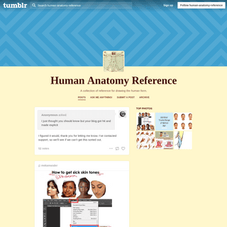Human Anatomy Reference