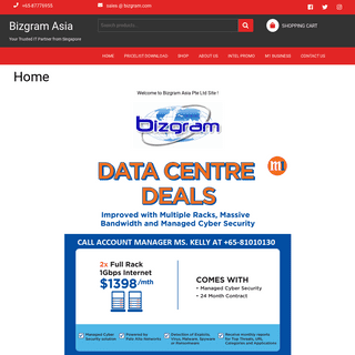 Bizgram Asia | Your Trusted IT Partner from Singapore
