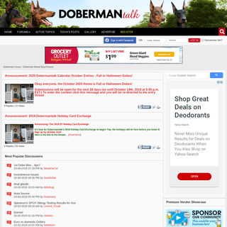 Doberman Forum : Doberman Breed Dog Forums 