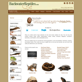 Reptiles for Sale - Choose From Over 500 Species