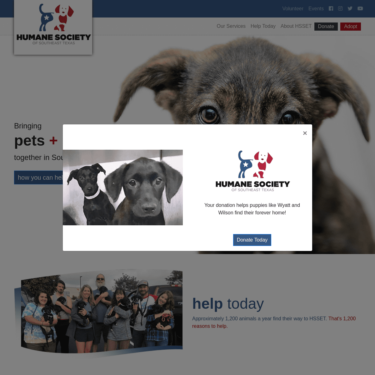 A complete backup of humanesocietyofsoutheasttexas.org