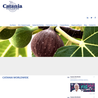 Home - Catania Worldwide