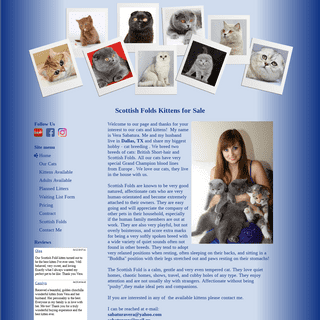 Scottish Folds Kittens for Sale in Dallas, Texas