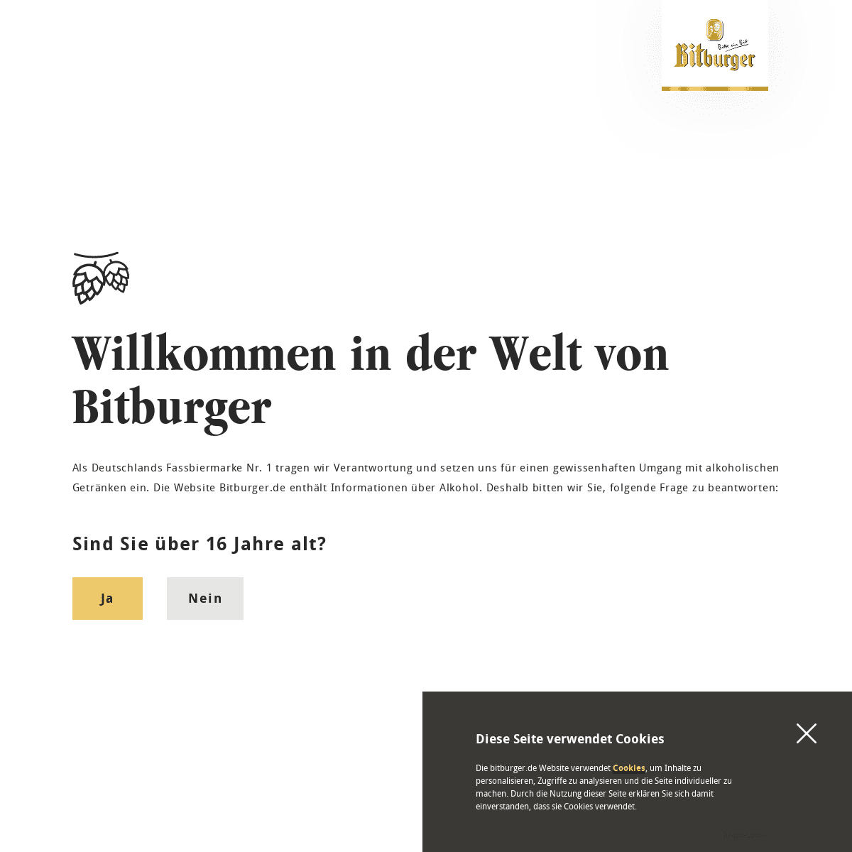 Bitburger Premium Pils - Bitte ein Bit!