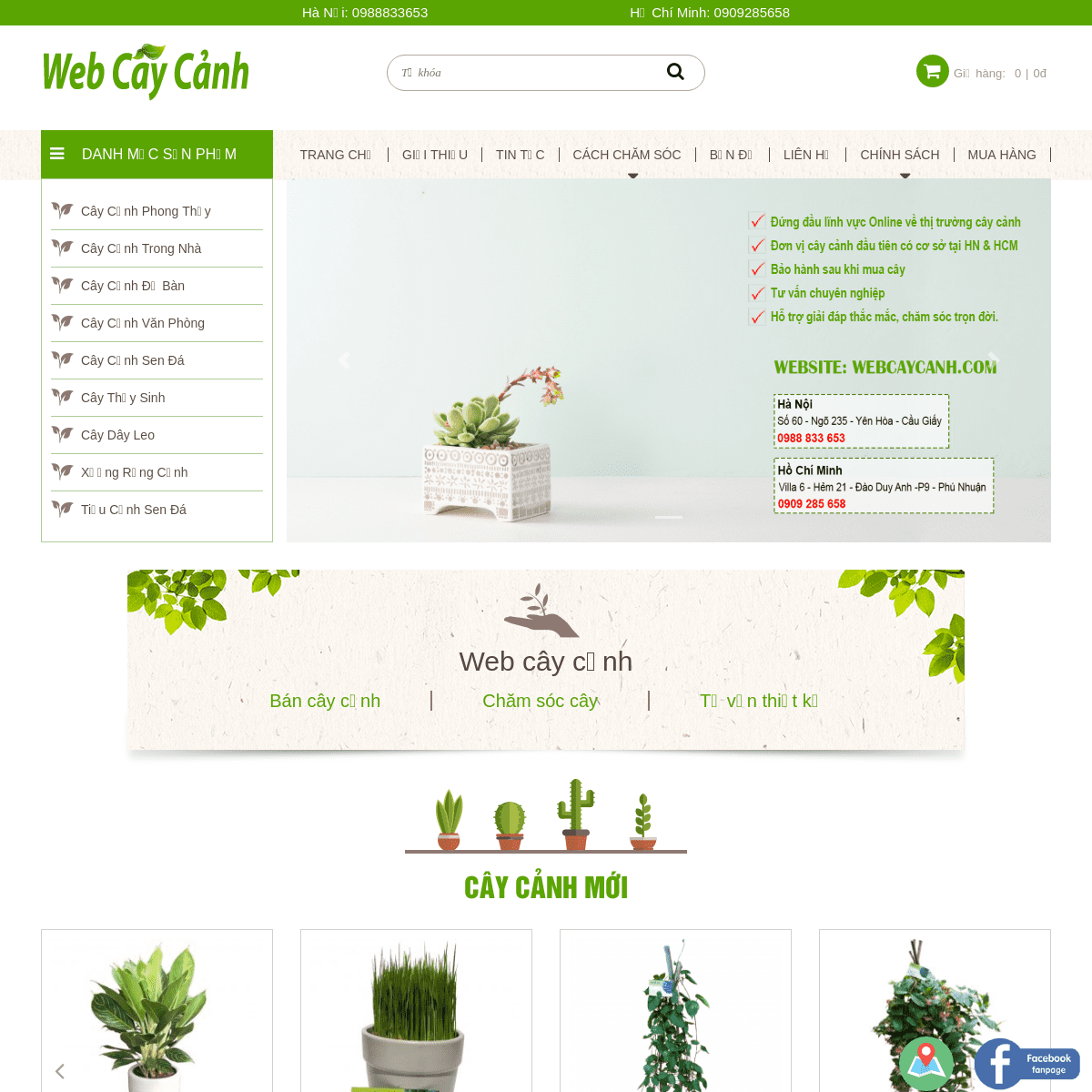 Công Ty TNHH Webcaycanh chuyên bán cây, chăm sóc, thiết kế