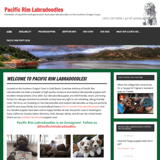 Labradoodle puppies for sale |Breeder Oregon | Pacific Coast